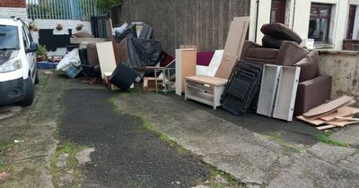 Councillor 'speechless' after 'shocking' fly-tipping at South Belfast community garden