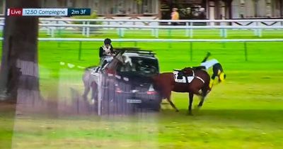 Horror moment van ploughs into two horses before jockey somersaults to ground in France