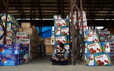 Protests continue over stranded apple-laden trucks in Kashmir, Mehbooba threatens agitation