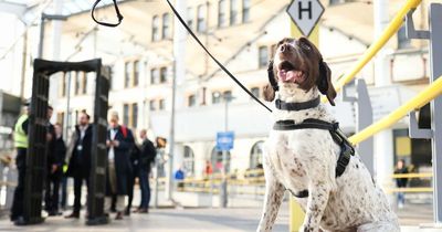 A knife arch, sniffer dogs, and ticket checks: GMP out in force on Manchester's transport network