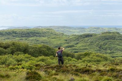 Scottish rewilding network gains 50th partner as demand stuns organisers