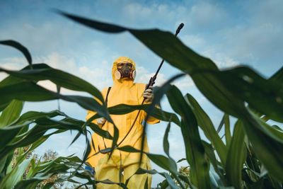 Australia’s farmers could reap the benefits from smarter use of pesticides