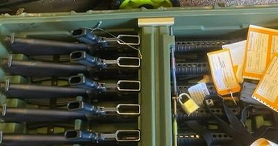 Box of M16 assault rifles mistakenly shipped to astonished couple’s home