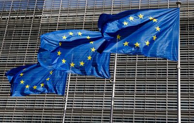 Group of countries push EU for gas price cap -letter