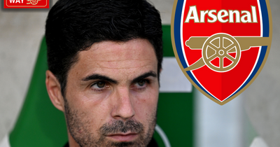 Mikel Arteta has already revealed Dusan Vlahovic transfer stance amid £100m Arsenal double swoop