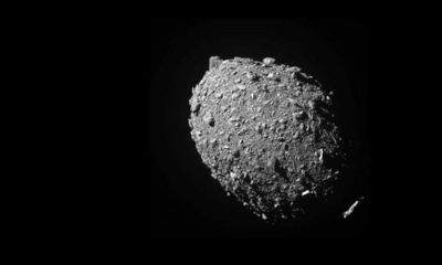 ‘This one’s for the dinosaurs’: how the world reacted to Nasa’s asteroid smashing success