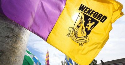 Wexford GAA chiefs crackdown on verbal and physical abuse of referees