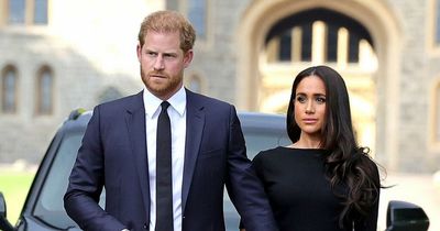 Harry and Meghan 'demoted' on the Royal Family's website lying just above Andrew