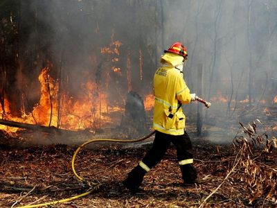 Power company's bushfire plan 'inadequate'