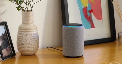 Experts warn using Alexa and Siri may be bad for children