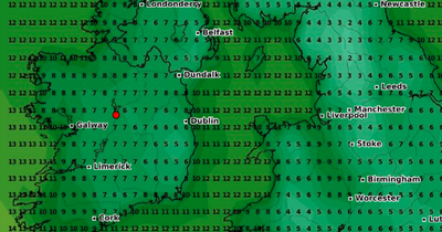 Met Eireann forecasts arrival of 'frosty' conditions as temperatures plummet alongside 'gale force' wind