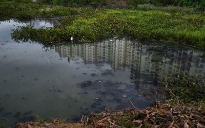 Watch | What is happening to Bengaluru’s lakes?