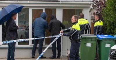 Ukrainian refugee girl, 8, fighting for life after being stabbed in Clare as mother found unconscious nearby