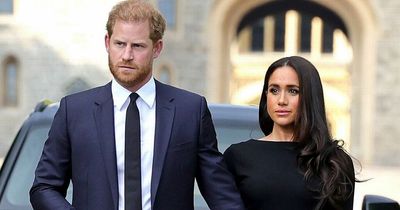 Harry and Meghan 'demoted' on Royal Family's website to sit just above Prince Andrew