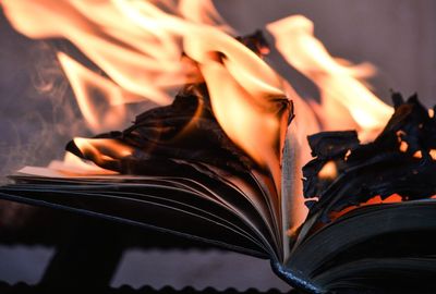 On burning books (or book companies)