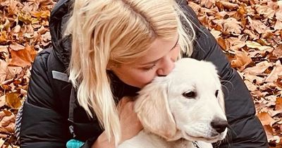 Holly Willoughby compares her gorgeous dog to Chewbacca in sweet morning post after rare family insight