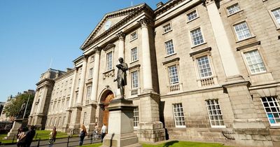 Trinity and TUD lead the way as 1,500 students caught cheating at Irish universities