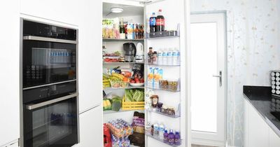 How to fill your fridge to make your food last longer and cut back on energy bills