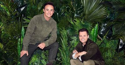 I'm A Celebrity All-Stars - location, full line-up, hosts and rumoured start date