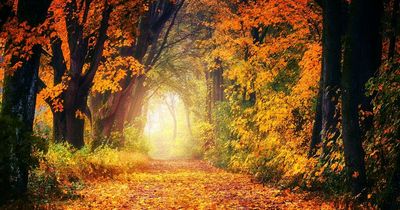 National Trust offering free visits to its properties this autumn