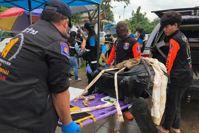 Body of woman stuffed in suitcase found floating in Mekong River