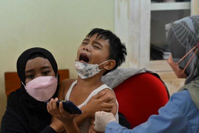 Indonesia approves first home-grown Covid vaccine for emergency use