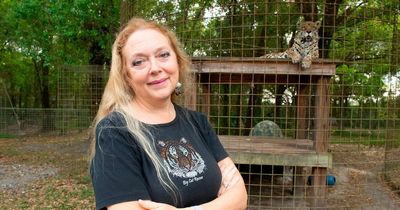 Tiger King’s Carole Baskin battens down hatches at Big Cat Rescue over Hurricane Ian