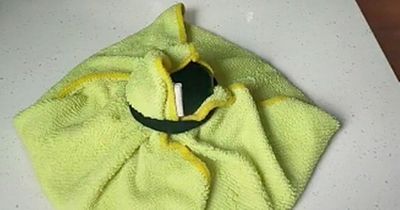 Woman discovers 'life-changing' trick for scrubbing stains from her sofa with a pan lid