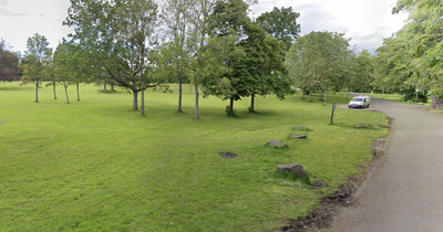 Glasgow King's Park 'vandalism' spree sparks calls for more police patrols