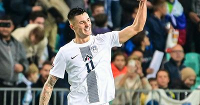 Summer Newcastle United target Benjamin Sesko scores a wondergoal for Slovenia