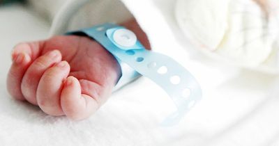 'I've picked a name for my baby - but I'm worried it sounds like a dog'