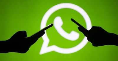 WhatsApp's new feature will make it easier for users to video call friends and family