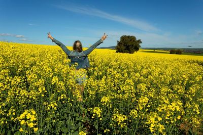 Canola field selfies: Australian farmers warn tourists against ‘dangerous’ social media trend