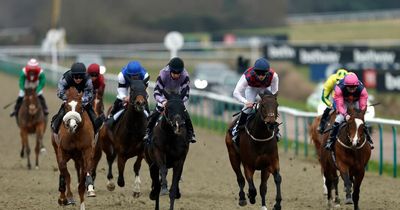 Newsboy's horse racing tips for all five Thursday meetings, including Lingfield nap