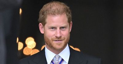 Netflix looking for Edinburgh locals as they cast Prince Harry for The Crown