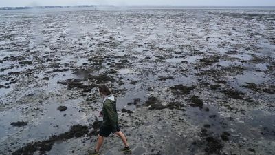 Hurricane Ian sucked water away from Florida's coast as it moved north