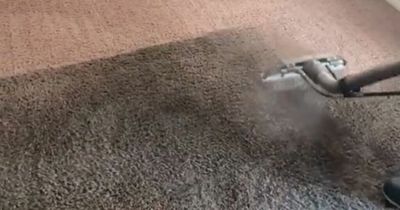 Baffled homeowner thought carpet was grey until they had it professionally cleaned