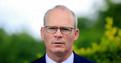 Simon Coveney says referendums which back Russian rule in Ukraine are a 'sham'