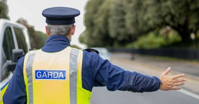 Gardai spent almost €183,000 buying three new hybrid and electric vehicles to transport ministers and other politicians