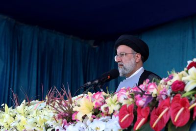 Iran's Raisi says Mahsa Amini's death has 'saddened' everyone