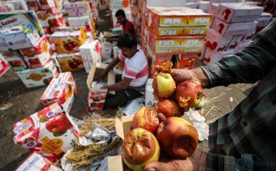 Apple growers see red as 5,000 trucks caught in jam on Srinagar highway