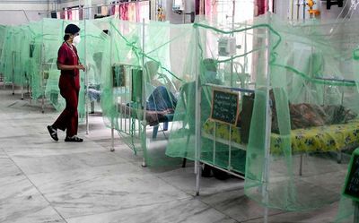 421 H1N1 influenza, 344 dengue active cases in Tamil Nadu