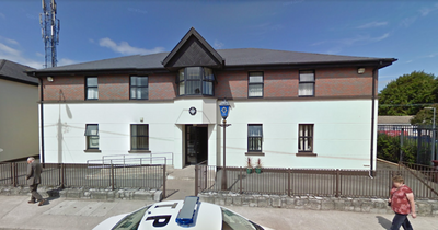 Gardai found skeletal remains of baby in Cork property after getting confidential information