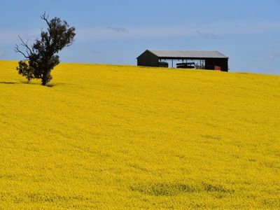 New push to limit PFAS farm contamination