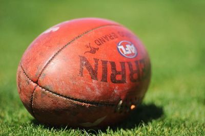 Almost a third of Indigenous AFL athletes and players of colour experienced racism, survey finds