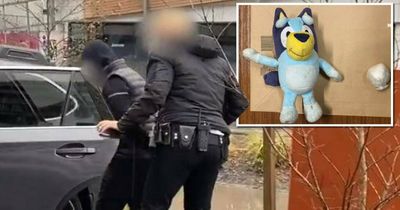 Alleged bikie behind bars after police seize Bluey toy believed to contain cocaine
