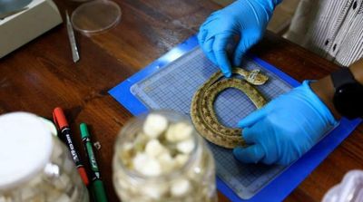 Sudanese Taskforce Battles Snakes, Scorpions During Rainy Season