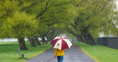 Liverpool to see sunny spells before Hurricane Ian brings wet and windy weather to UK