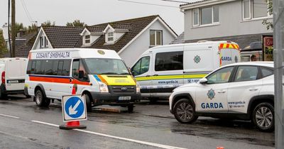 Screaming alerted gardai to Clare scene as latest given on young girl stabbed 75 times