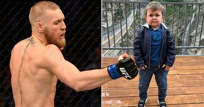 Conor McGregor challenges Hasbulla to UFC sparring match and sets out rules